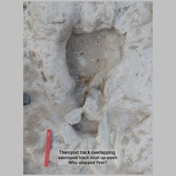 DSCN0694 labeled.jpg